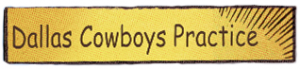 In Like Cyn Cynthia Troyer S2 E2 Dallas Cowboys pix11